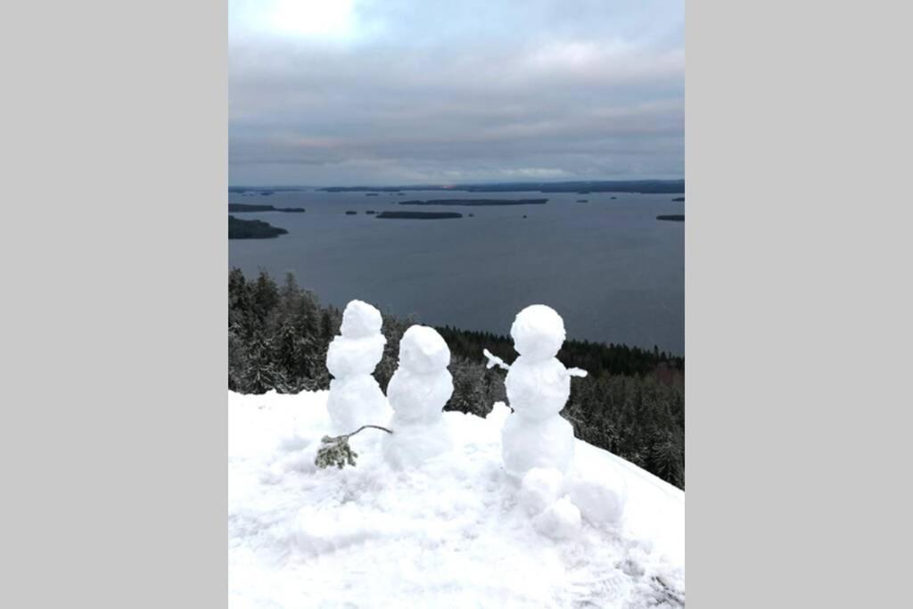 Kolin Pikkukolo - Saunallinen Studiohuoneisto Kolinkylä Exterior foto